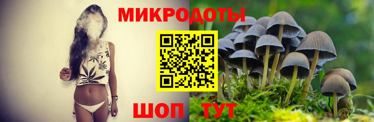 Чебоксары  Псилоцибиновые грибы Psilocybe  Вход с VPN 